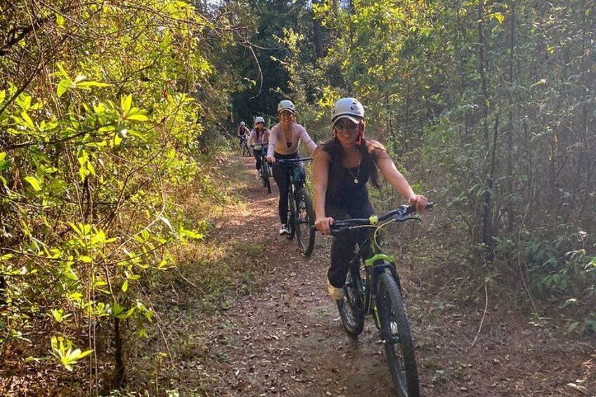 A group of cyclists on a forest trail. 1