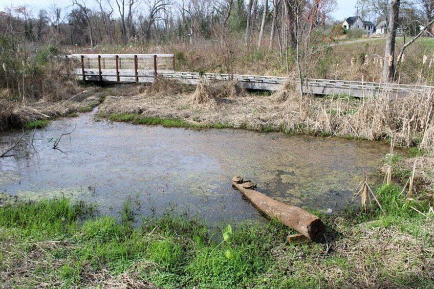 A small pond with a wooden bridge, surrounded by trees and grass. 4