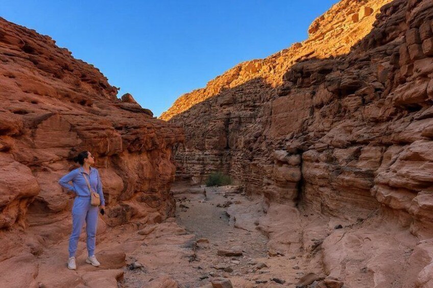 A person standing in a canyon with red rock walls and a clear sky. 2