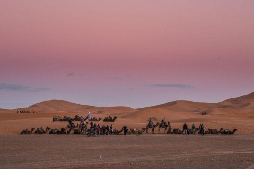 A caravan of camels and horses in a desert landscape. 5
