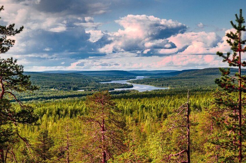 A forested landscape with a river and distant mountains. 4
