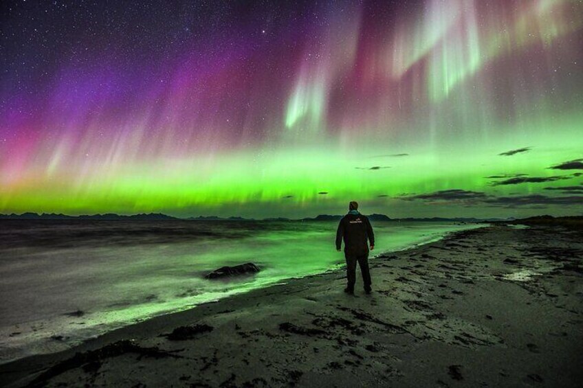 A person standing on a beach under a vibrant northern lights display. 2