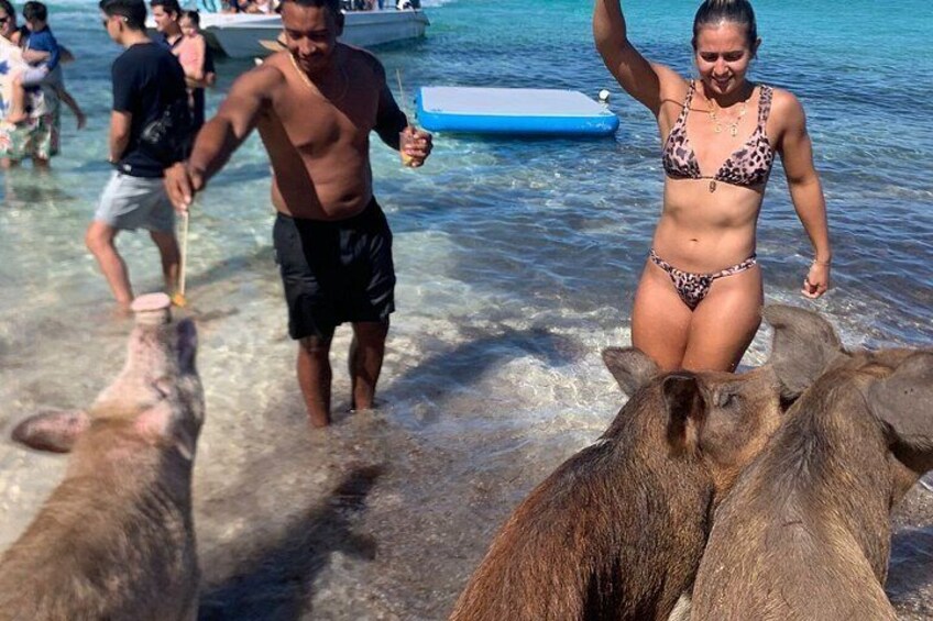 People interacting with sea lions at a beach. 5