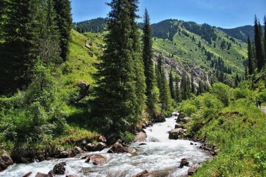 A river flowing through a forested valley with mountains in the background. 3
