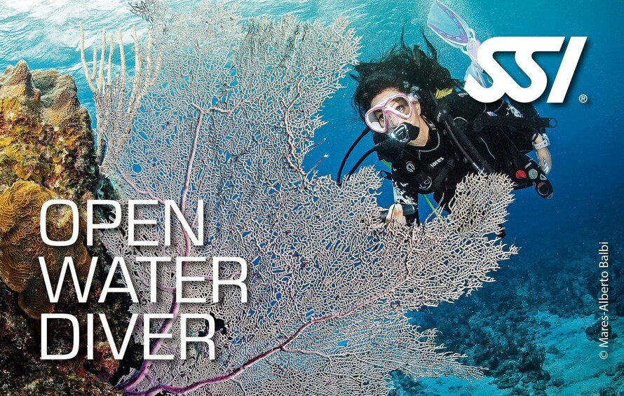 Sukeltaja tutkii koralliriuttaa, ja hänen varusteissaan näkyy teksti: ”OPEN WATER DIVER” ja ”Mares-Scuba”. 1