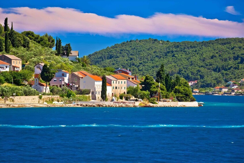 A coastal town with houses, a clear blue sea, and a forested hill in the background. 2