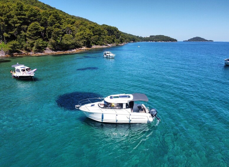 A clear blue sea with boats, a forested coastline, and a small island in the distance. 3