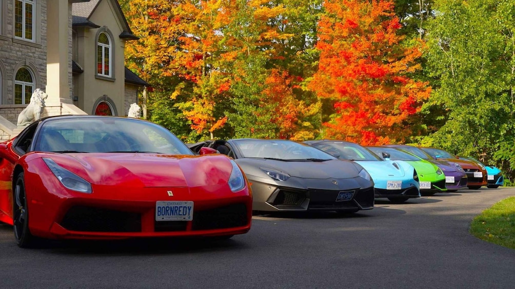 Toronto: Exotic or Supercar Test Drive on Hamilton Mountain 1
