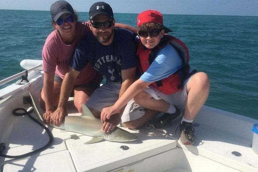Shark 3
