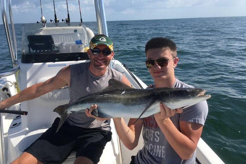 Cobia 3