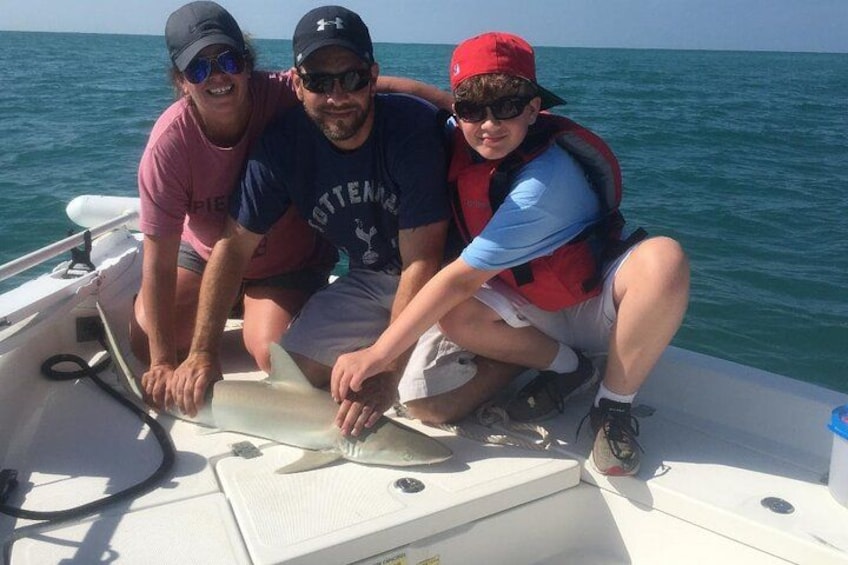 Shark 3