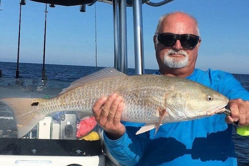 Redfish 5