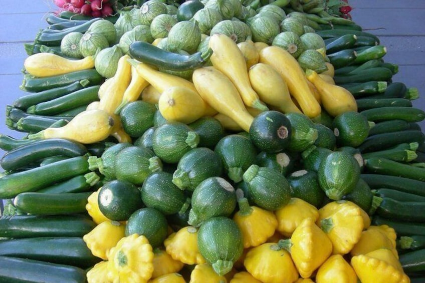 Salinas Valley Farm Tour 2