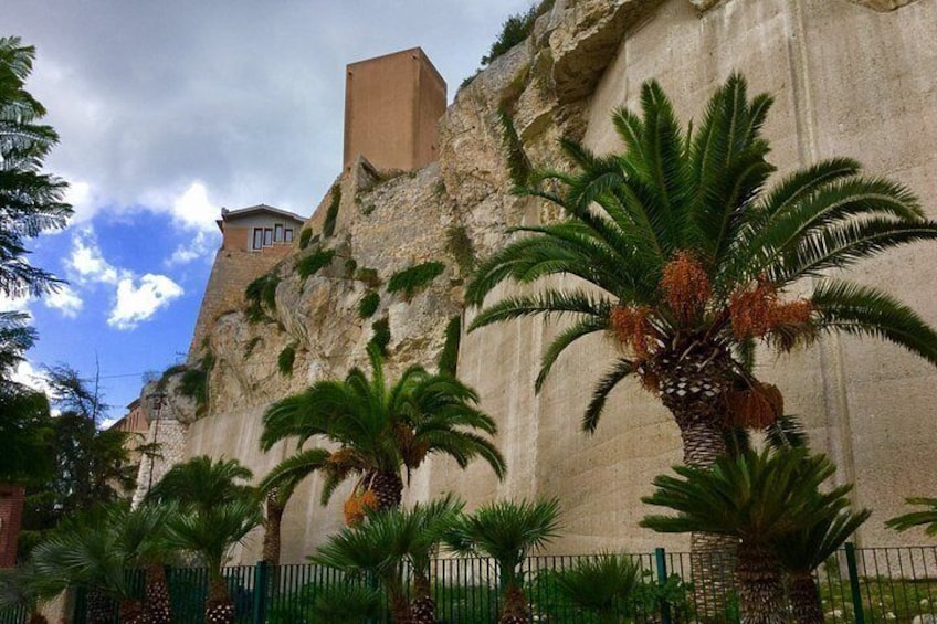 A rocky cliff with palm trees and a building. 2
