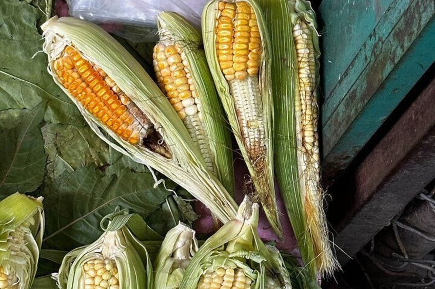 Lunch and explore Central de Abastos Oaxaca’s most diverse market 4
