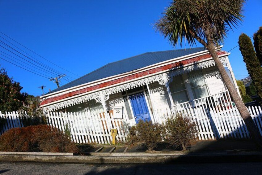 Cruise Ship Tour Dunedin City Highlights & Otago Peninsula Views 2