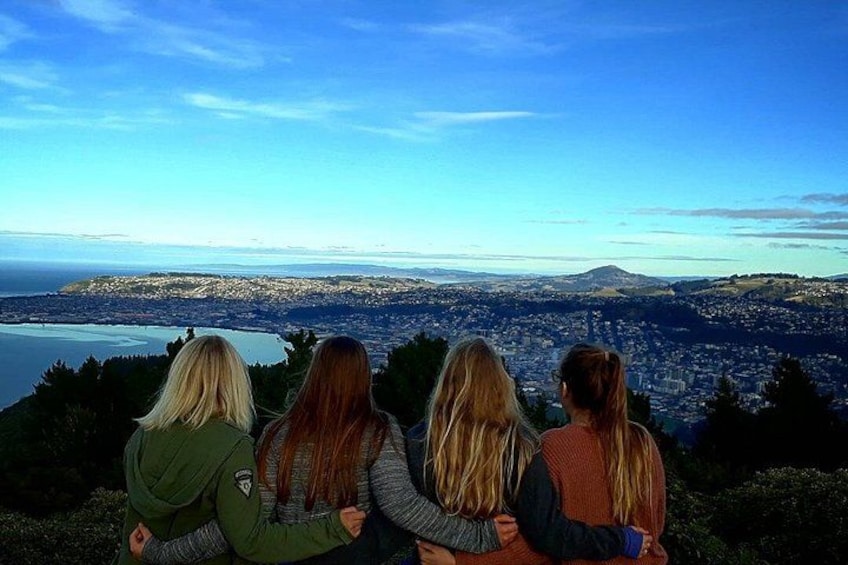 Cruise Ship Tour Dunedin City Highlights & Otago Peninsula Views 5