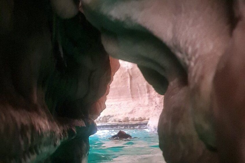 Discover Muscat and Wadi Shab Adventure in 8 Hours 2