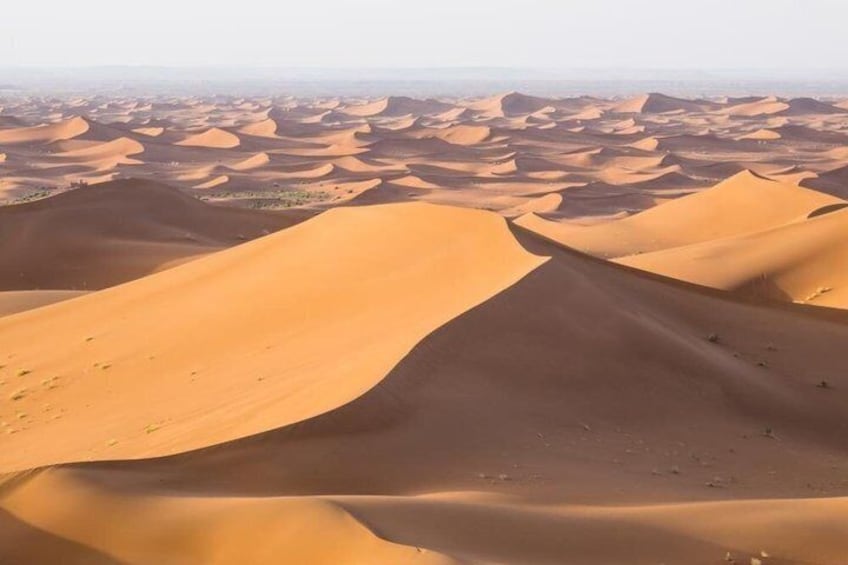 A vast desert landscape with rolling sand dunes. 1