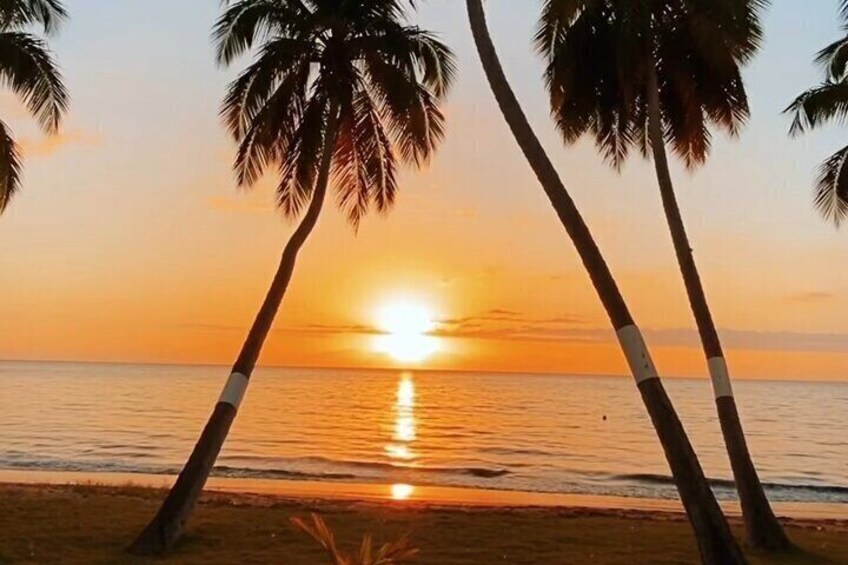 A sunset over a beach with palm trees. 3