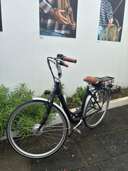 A bicycle parked against a wall with posters, a basket, and a seat. 1