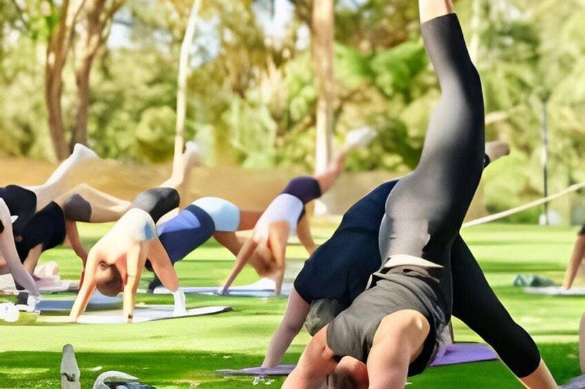 A group of people performing yoga on mats in an outdoor setting with trees in the background. 4