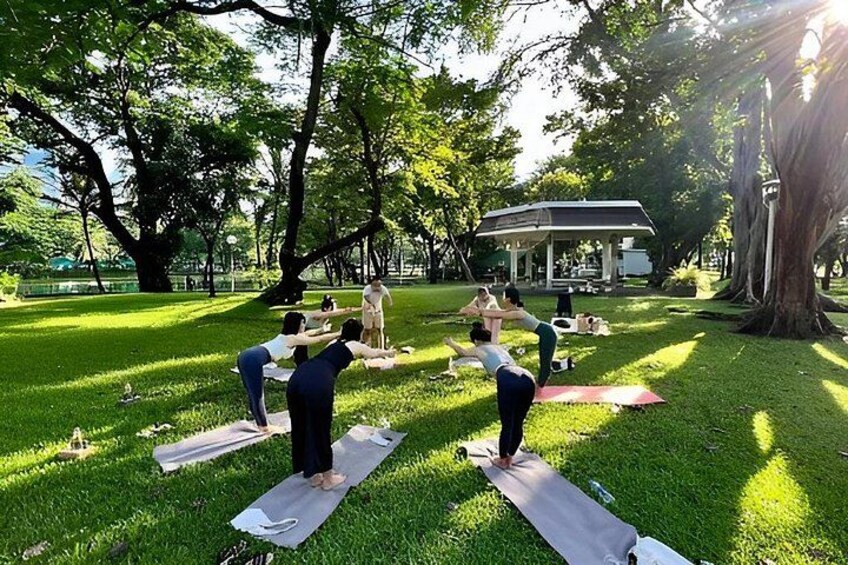 People doing yoga on mats in a park with trees and a gazebo in the background. 5