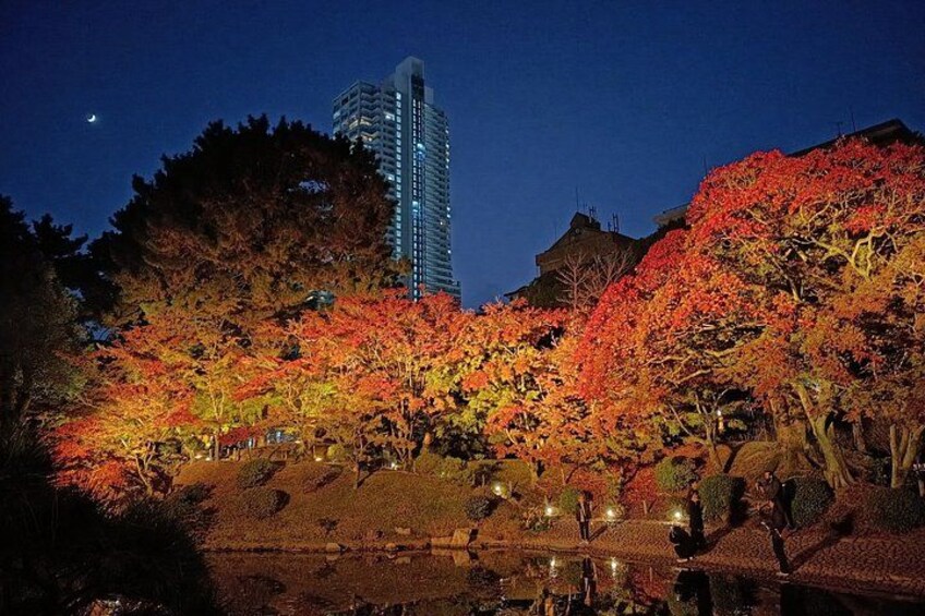 Une vue nocturne d'un parc avec des arbres aux couleurs automnales, un étang et un bâtiment moderne en arrière-plan. 3