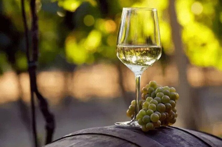 Guimaraes Wine Tasting Tour 2