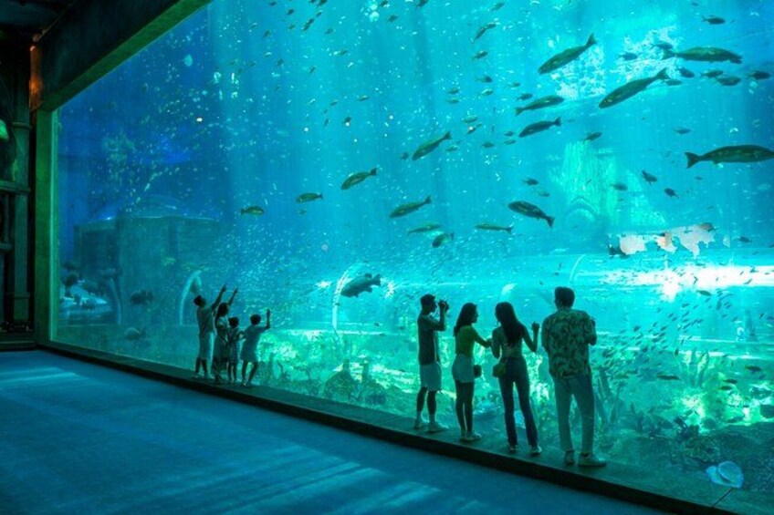 An aquarium with large glass windows, fish, and people observing. 3