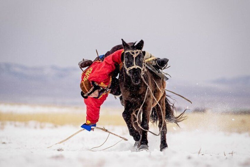 A person in red harnessing a horse in a snowy landscape. 1