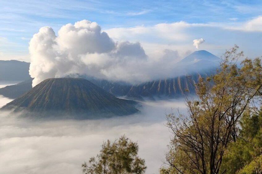 Mount Bromo & Ijen Crater Tour from Yogyakarta with Bali Drop 4