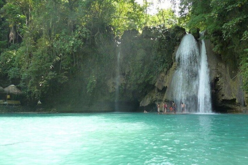 Ultimate 2-in-1 Cebu Adventure Oslob Whale Shark and Canyoneering 2