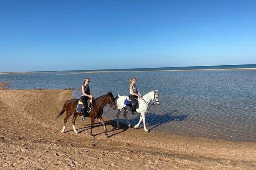2-Hour Desert Horse Riding with Transfer - Marsa Alam 2