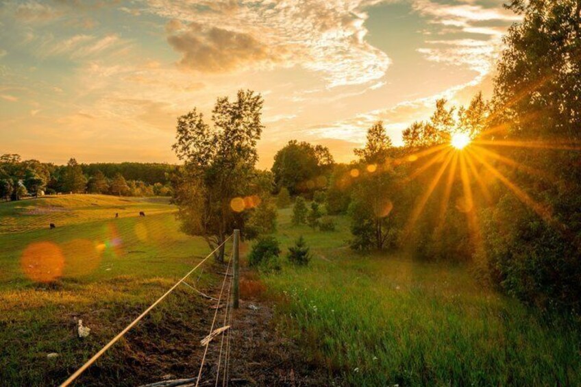 A rural landscape with a grassy field, a wooden fence, and a clear sky. 5