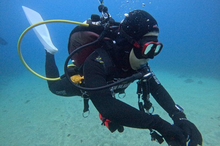 Private Boat Diving in Jeju Discover and Fundiving 3