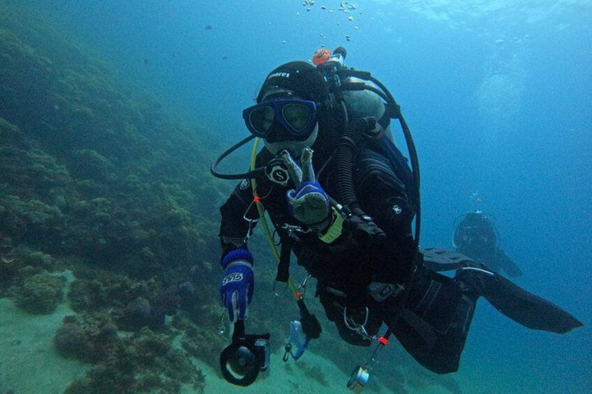 Private Boat Diving in Jeju Discover and Fundiving 5