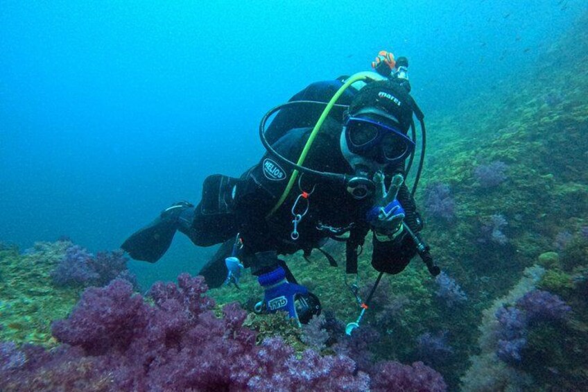 Private Boat Diving in Jeju Discover and Fundiving 4