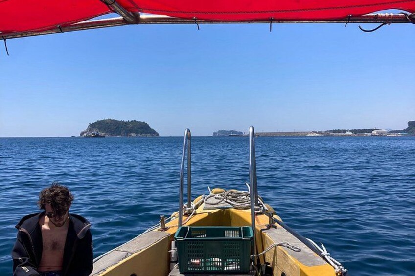 A boat on calm water with a person standing at the stern, a red canopy overhead, and a distant island. 3