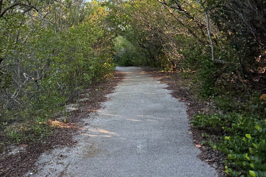 Miami E Bike Tour With Local Guide 4