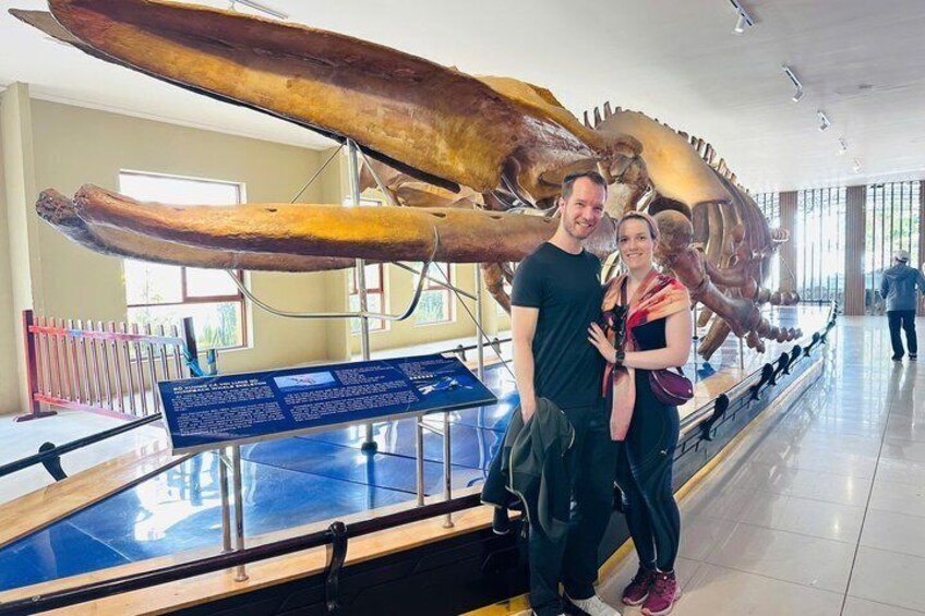 A large dinosaur skeleton exhibit with a signboard. 1