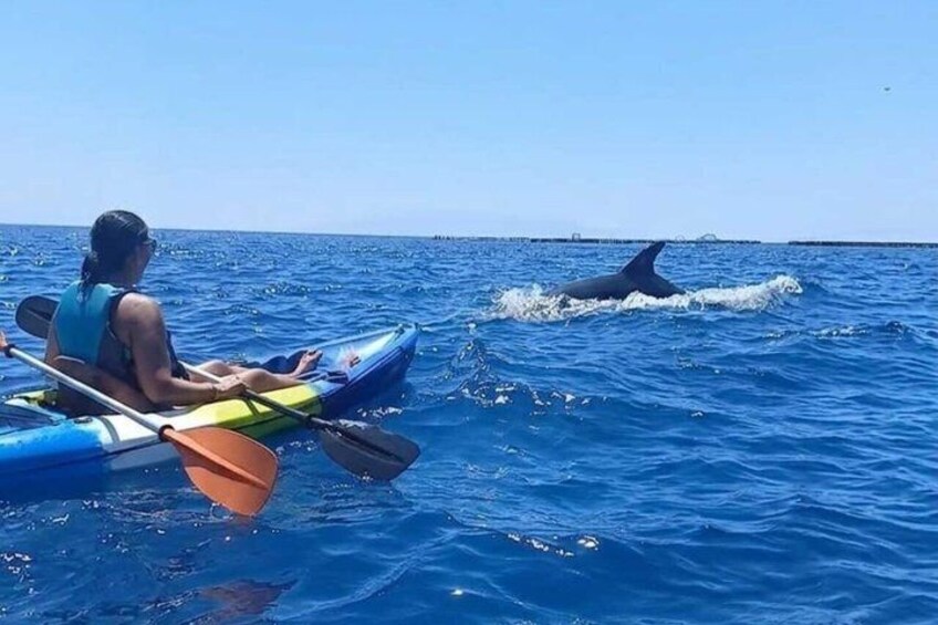 Kayak & snorkel in Los Cristianos 1
