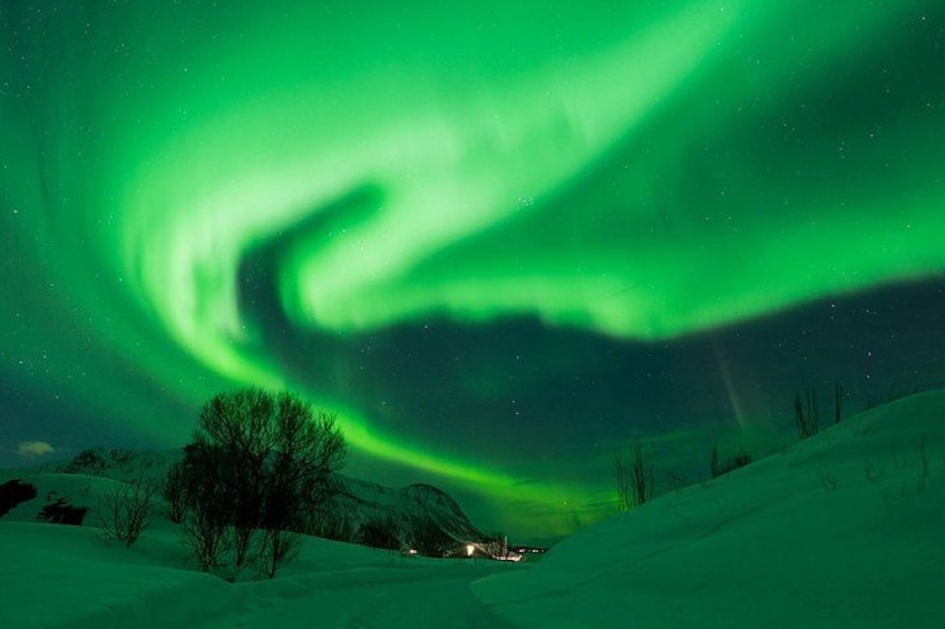A snowy landscape with a tree and a house under a green aurora. 5