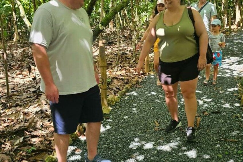 People walking on a path surrounded by trees and foliage. 2