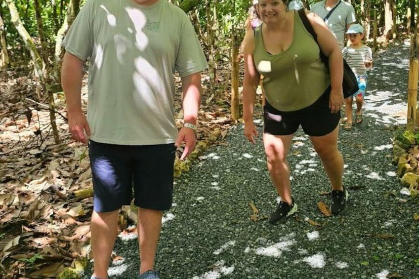 A person walking on a forest path with trees and fallen leaves. 3