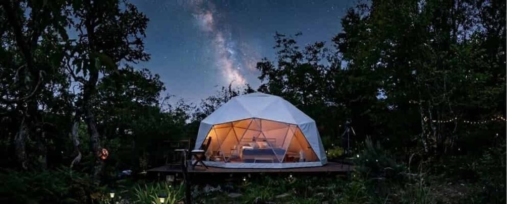 A dome-shaped tent with a bed inside, surrounded by trees and a starry night sky. 2