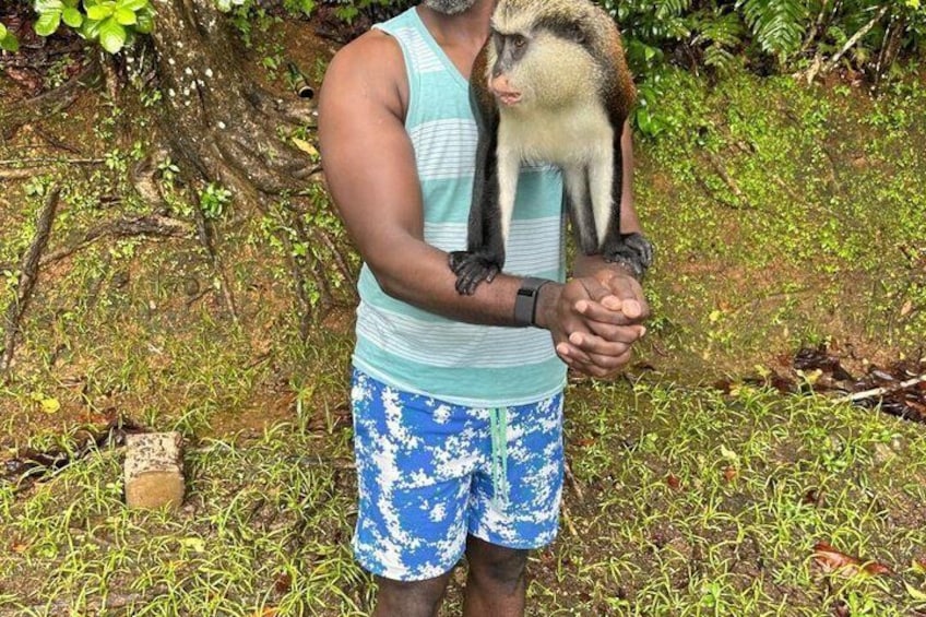Grenada’s Best: Waterfalls, Chocolate, Rum and Rainforest Tour 4