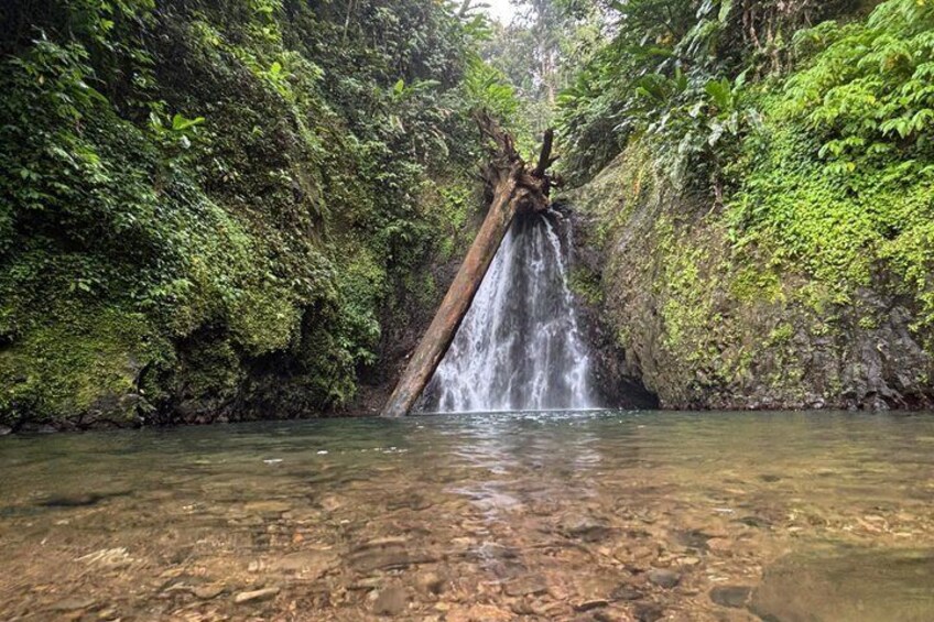 Grenada’s Best: Waterfalls, Chocolate, Rum and Rainforest Tour 5