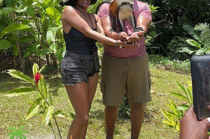 Grenada’s Best: Waterfalls, Chocolate, Rum and Rainforest Tour 4