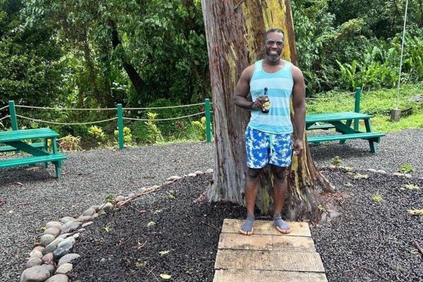 Grenada’s Best: Waterfalls, Chocolate, Rum and Rainforest Tour 4
